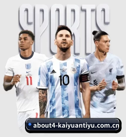 五大服务分区,信息按项目分类