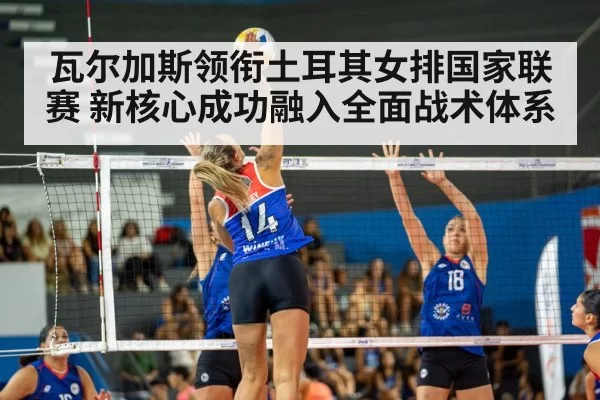 瓦尔加斯领衔土耳其女排国家联赛 新核心成功融入全面战术体系